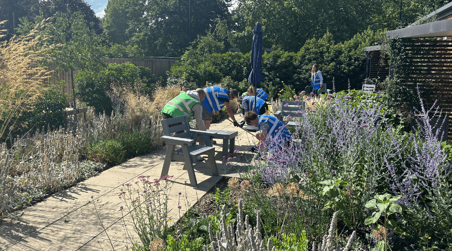 Team Advanté Rolls Up Their Sleeves to Support Havens