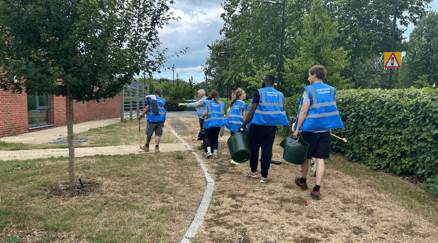 Team Advanté Rolls Up Their Sleeves to Support Havens